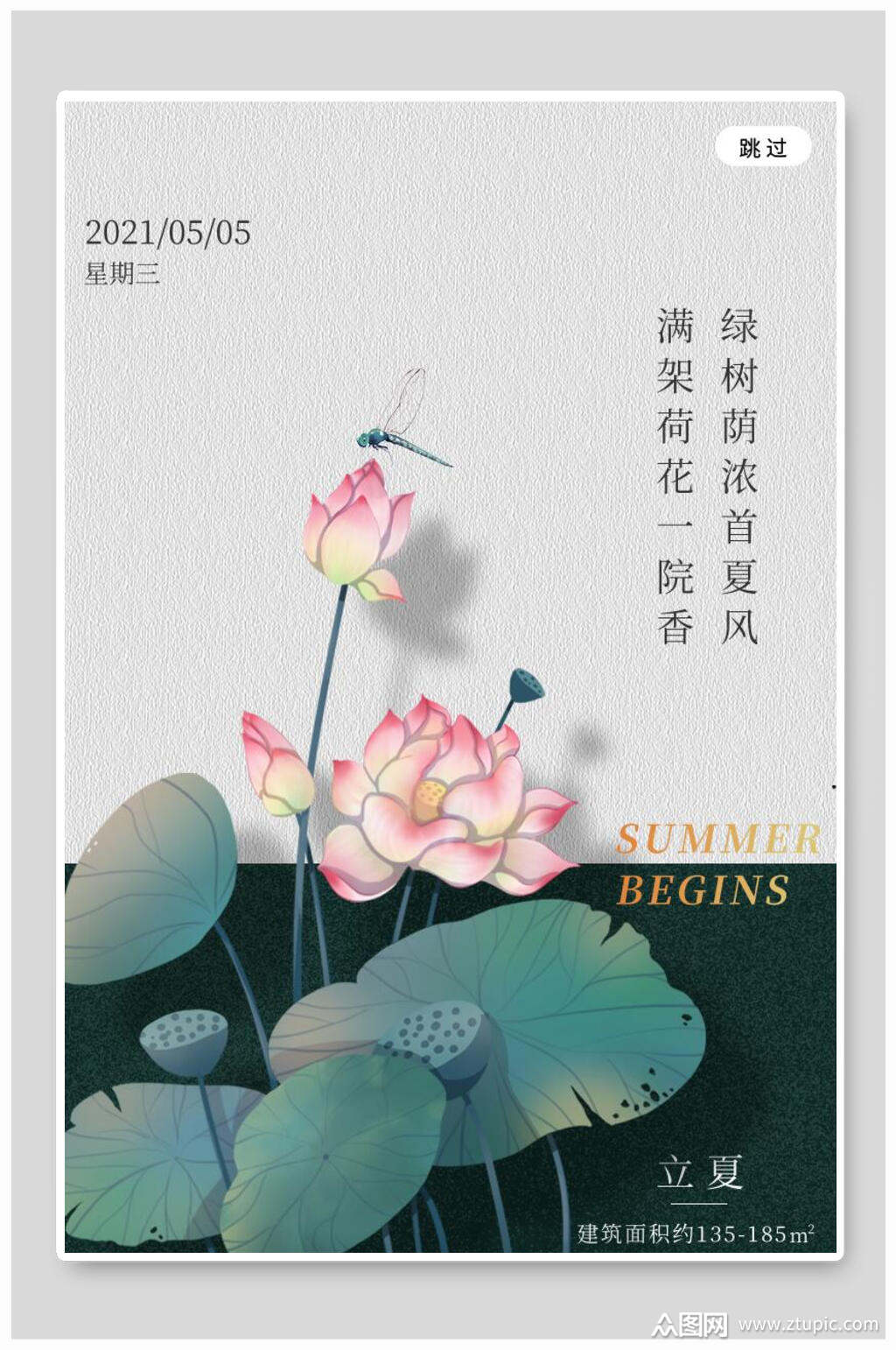 荷花中国传统节气立夏海报素材