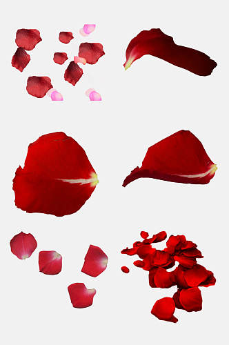 红色魅力飘散花瓣免抠元素