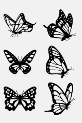 黑白昆虫蝴蝶免抠素材