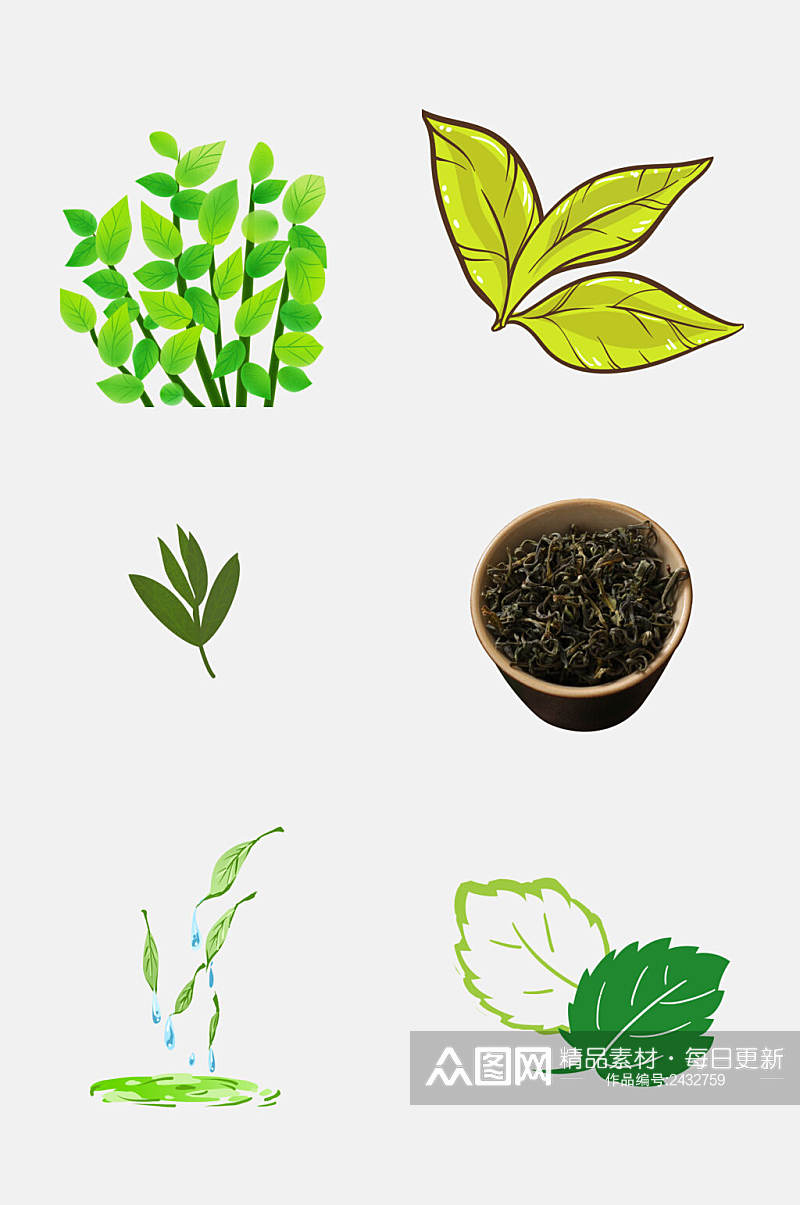 手绘茶叶新茶绿茶免抠素材素材