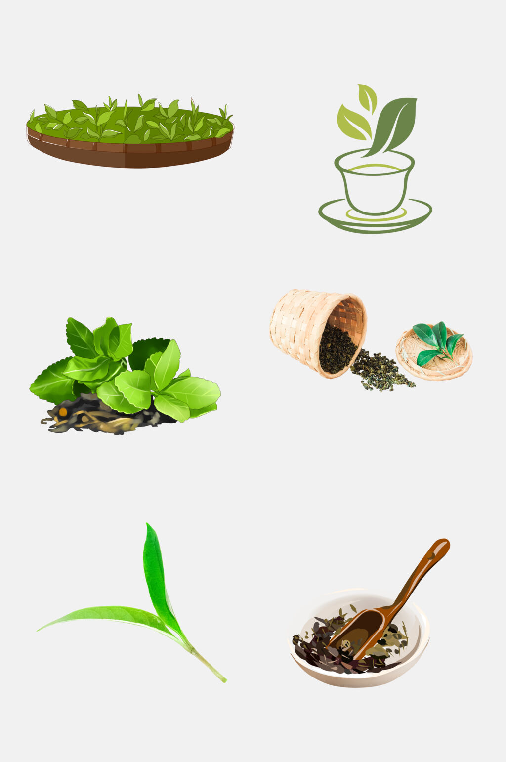 时尚茶叶新茶绿茶免抠素材素材