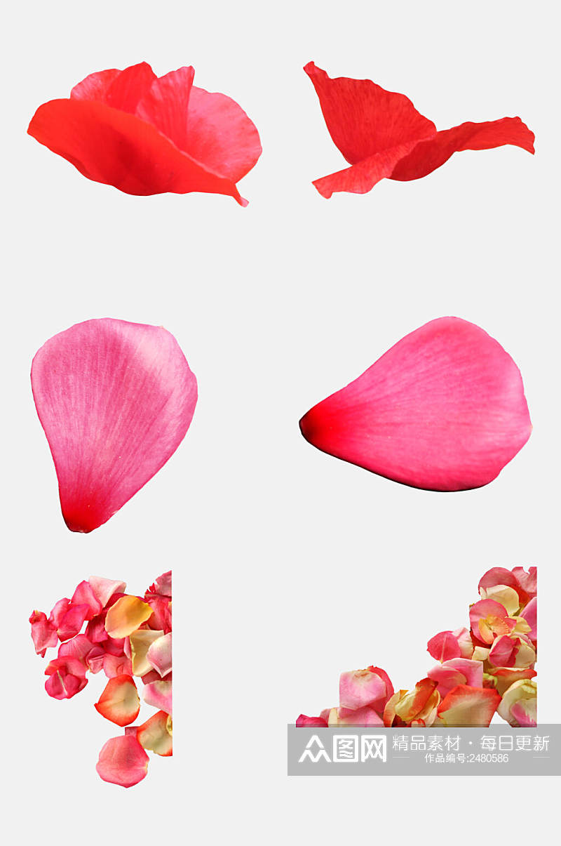 粉色飘散花瓣免抠元素素材