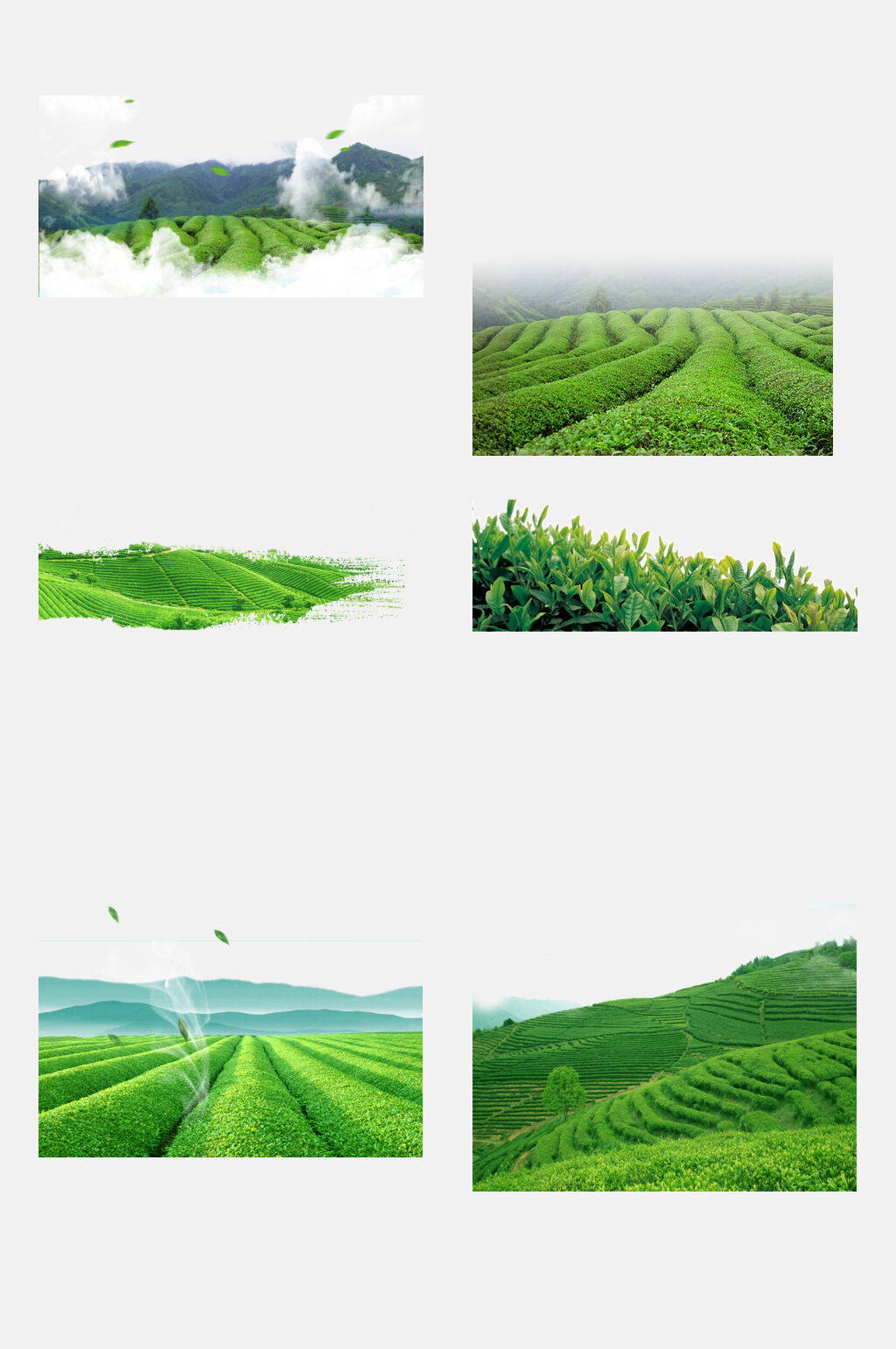 清新绿色茶园茶叶免抠元素素材