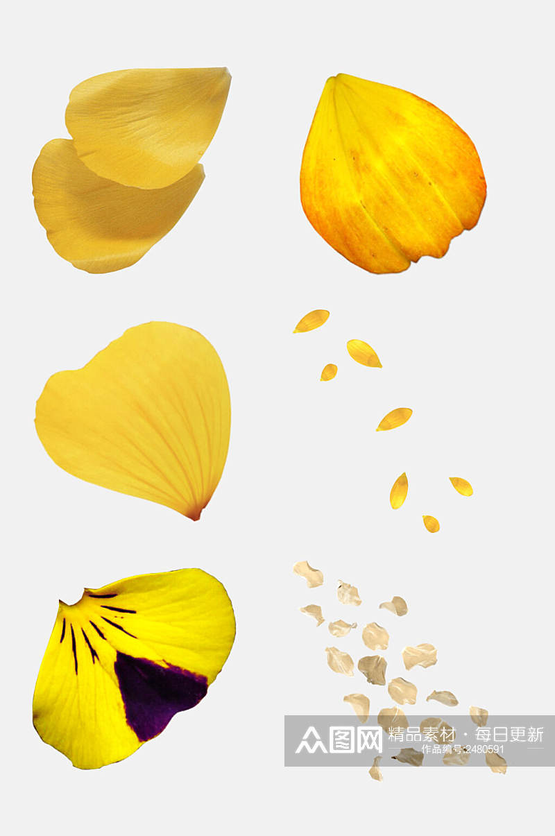 黄色飘散花瓣免抠元素素材