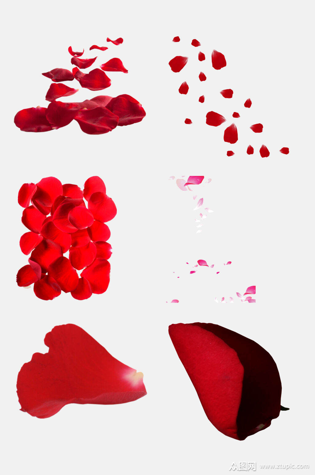 清新红色飘散花瓣免抠元素素材
