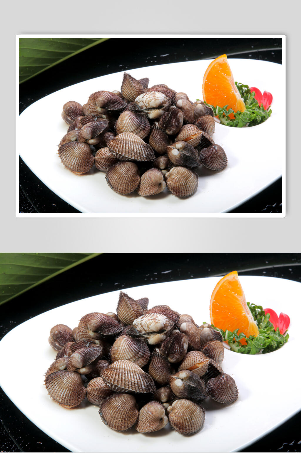 新鲜美味毛蛤图片素材