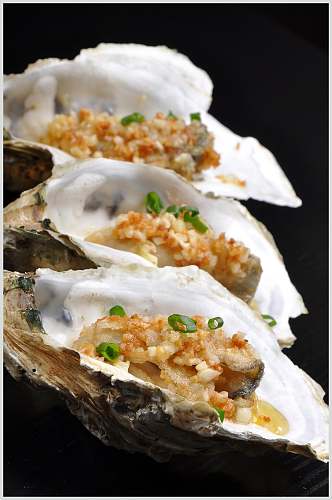 新鲜牡蛎蛤蜊生蚝食品图片
