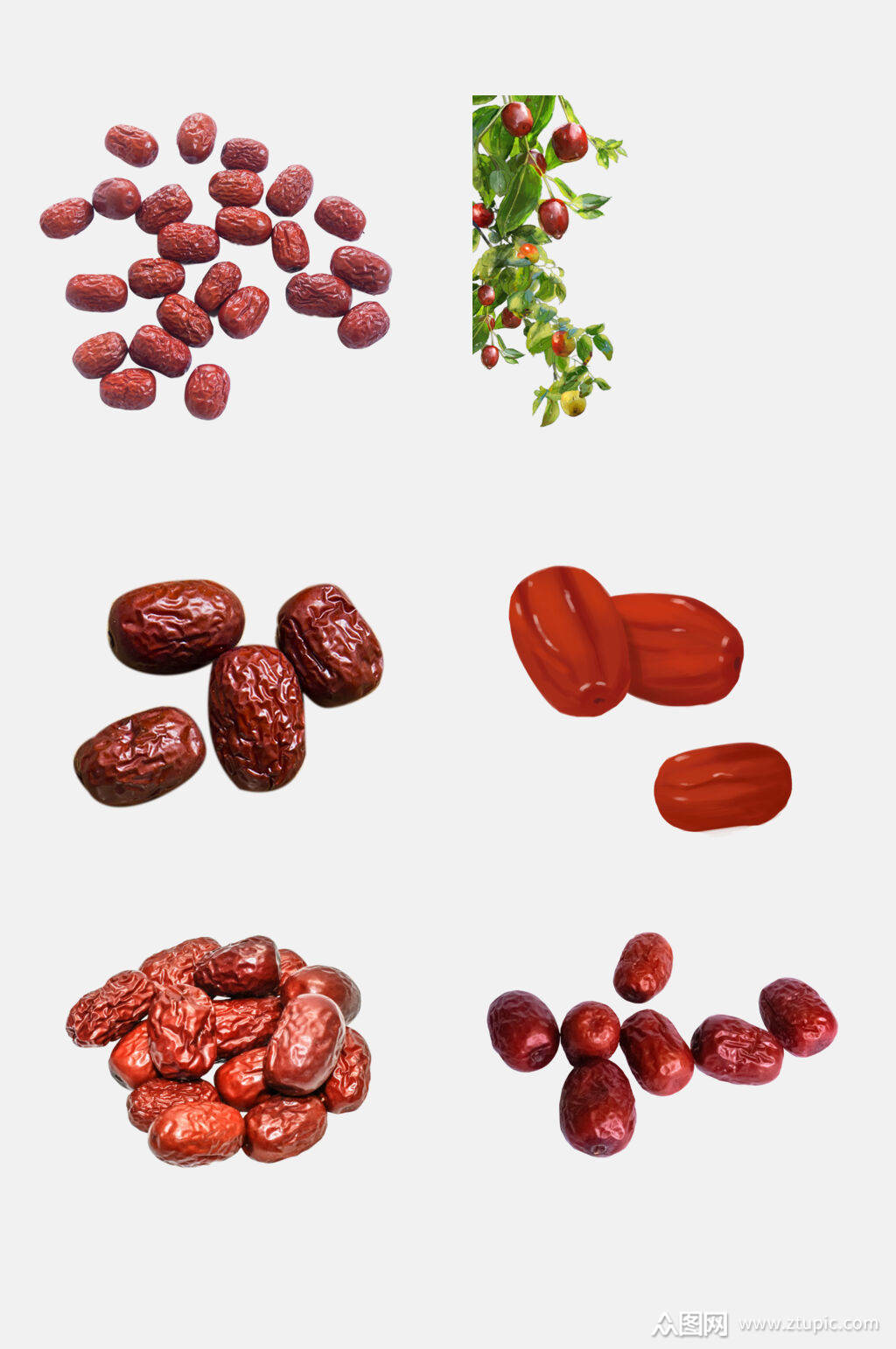 精品品质红枣免抠素材