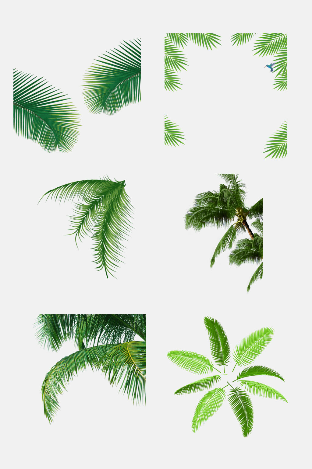 创意时尚夏天卡通椰子树叶免抠素材