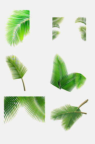 绿色夏天卡通椰子树叶免抠素材