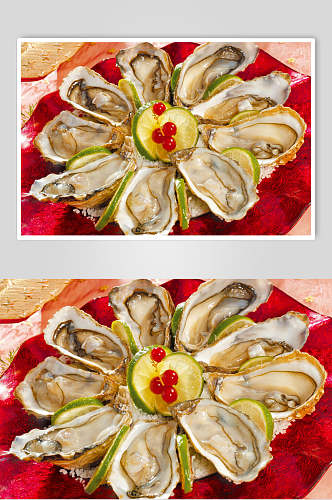 香浓美味牡蛎蛤蜊生蚝图片
