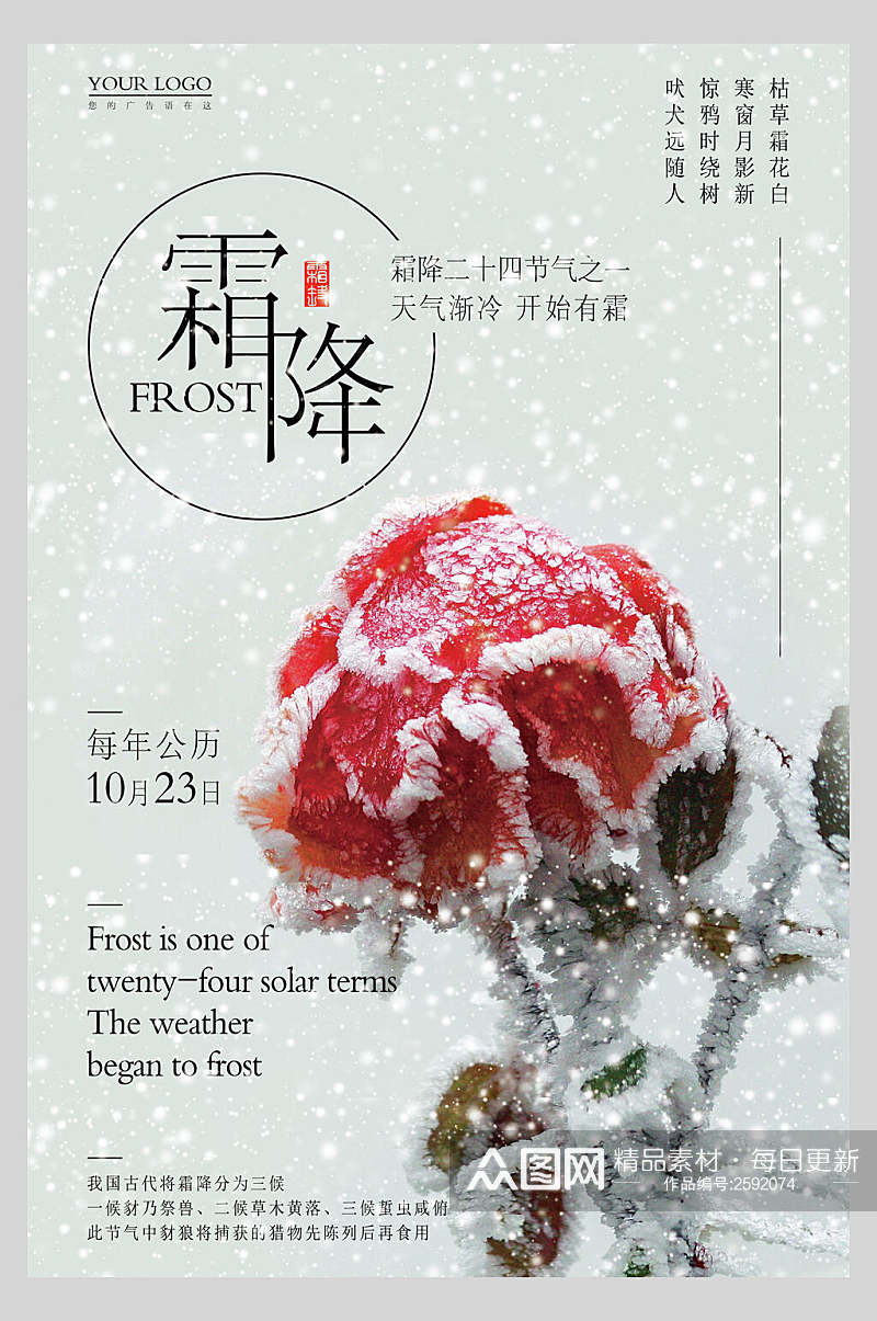 冬季植物霜降二十四节气宣传海报素材