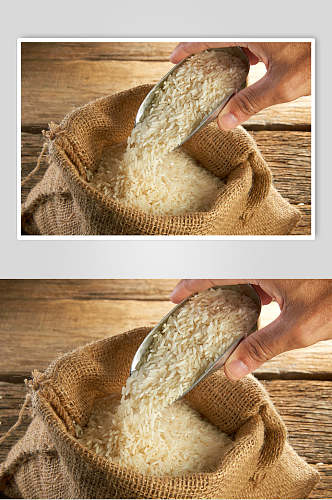 新品长粒米大米稻米高清图片