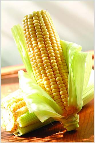 玉米棒玉米粒食品图片