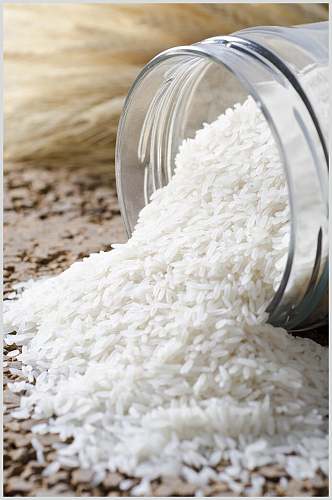 香米大米稻米图片