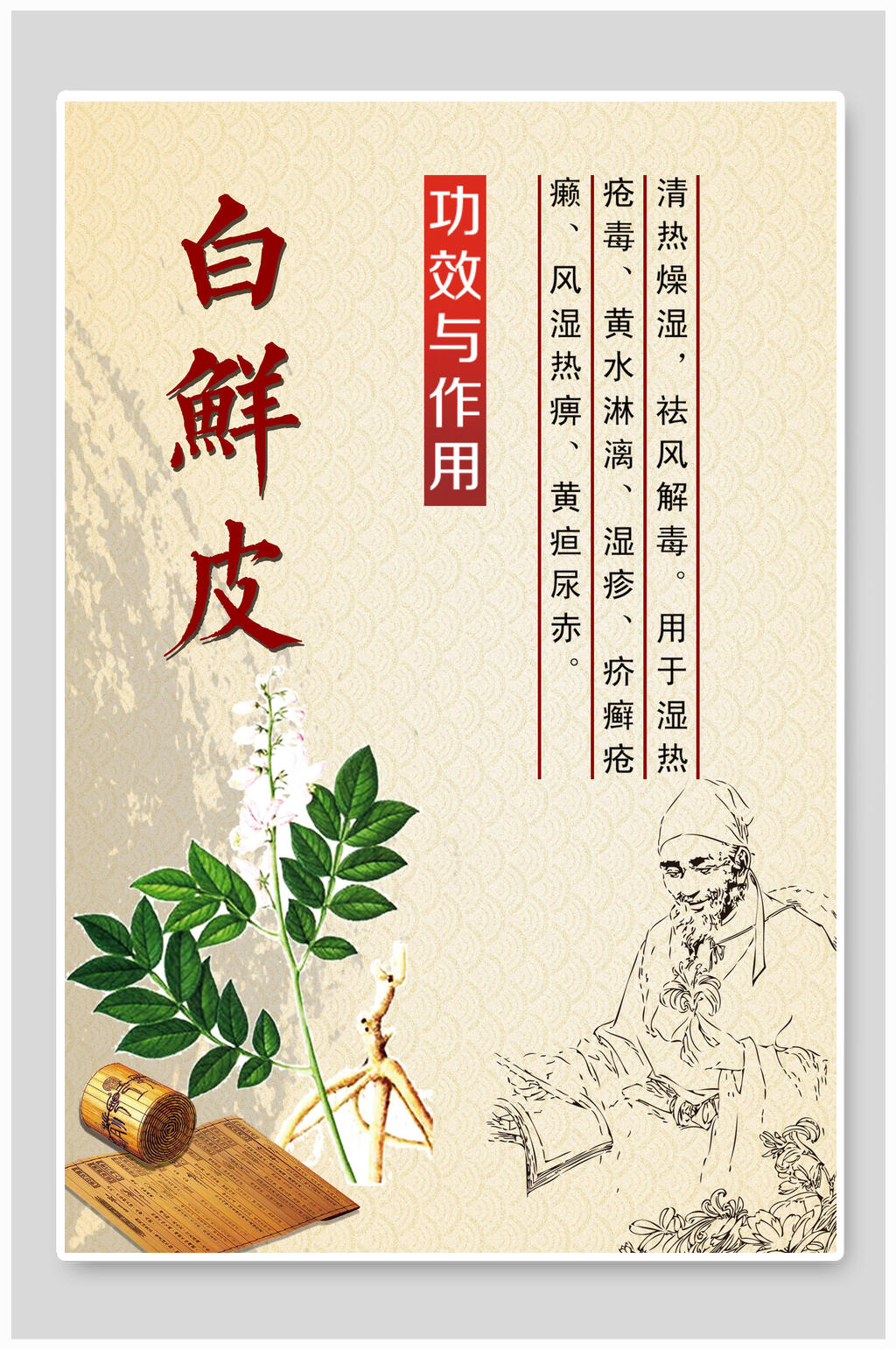 白鲜皮中药材中药挂画展板海报素材