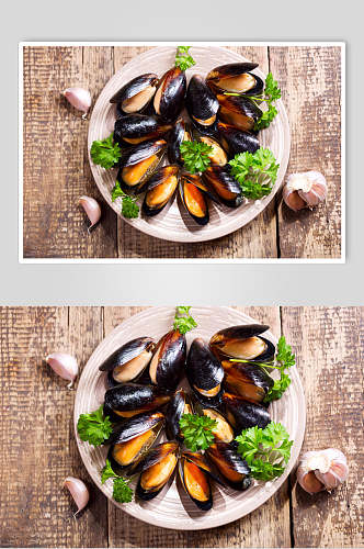 精选海鲜牡蛎蛤蜊生蚝食品图片