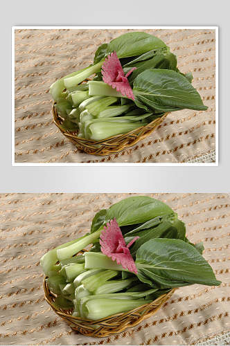 小青菜鲜香食品摄影图片
