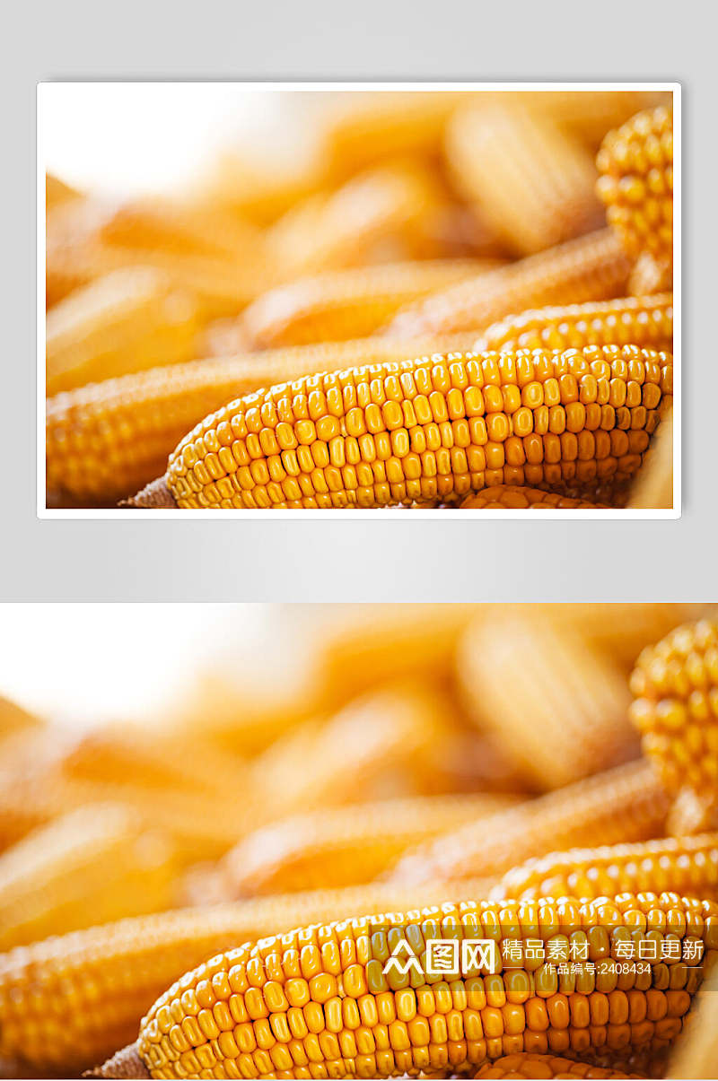 金黄玉米棒玉米粒图片素材