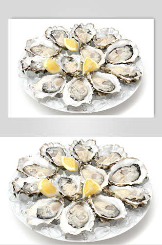 美味烧烤牡蛎蛤蜊生蚝食品图片