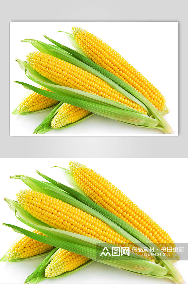 清新饱满玉米棒玉米粒食品图片素材