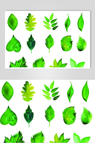 水彩绿色植物叶子矢量素材