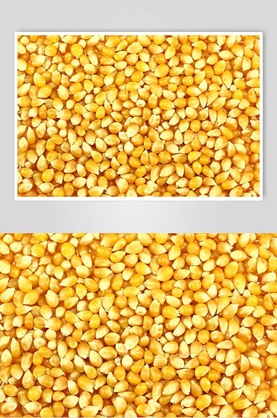 优质玉米棒玉米粒食品图片