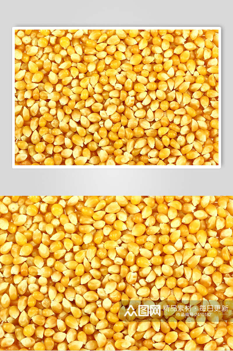优质玉米棒玉米粒食品图片素材