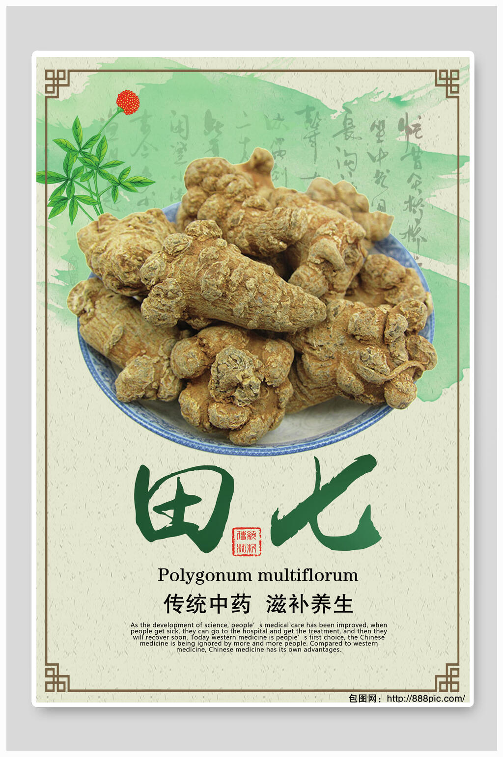 田七中药材中药材挂画展板海报素材
