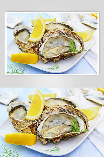 精品美味海鲜牡蛎蛤蜊生蚝图片