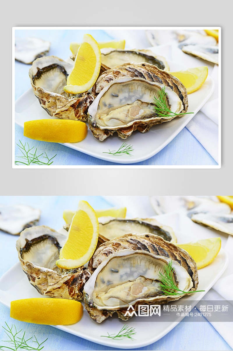 精品美味海鲜牡蛎蛤蜊生蚝图片素材