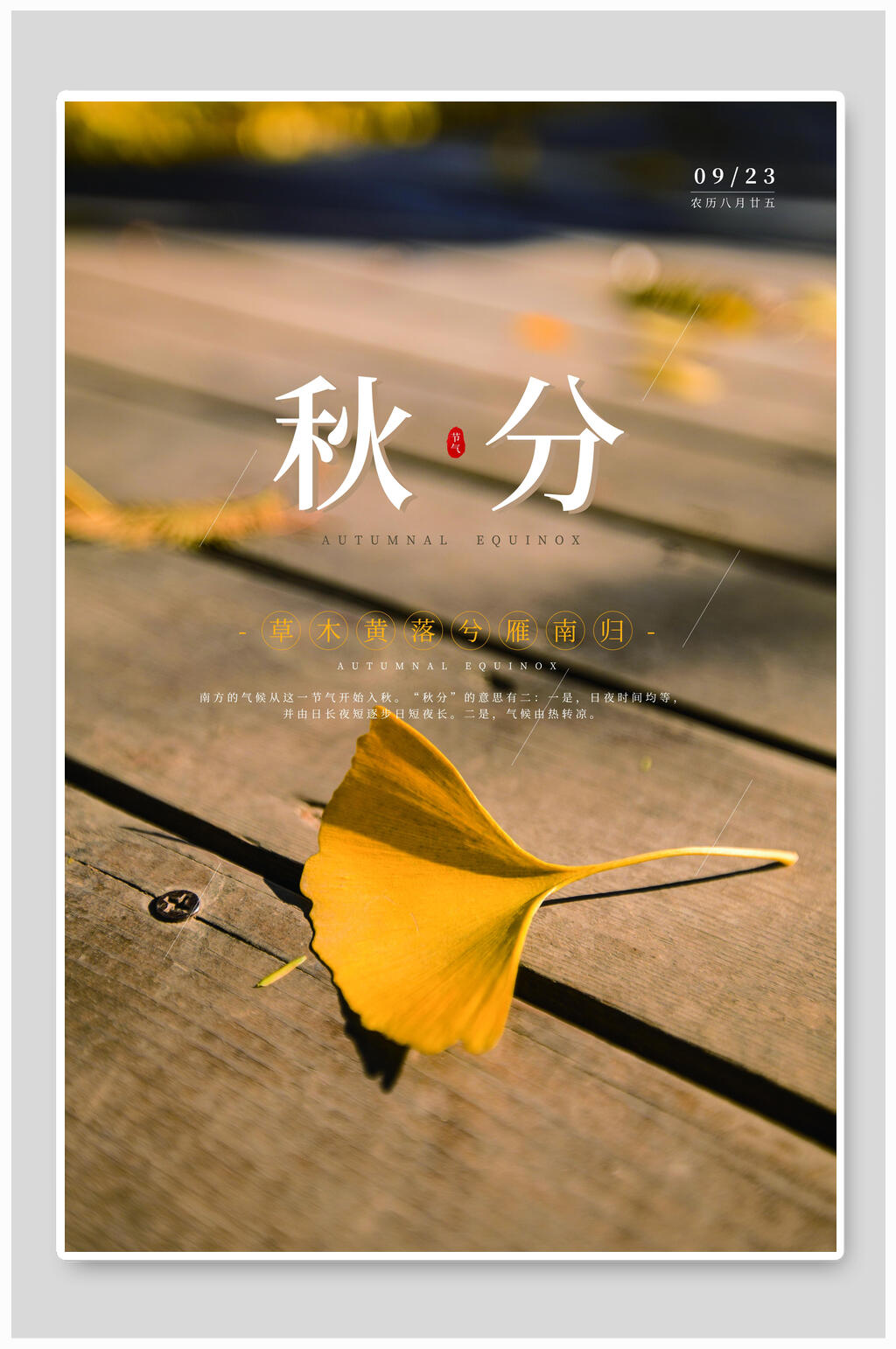 时尚银杏叶立秋节气宣传海报素材
