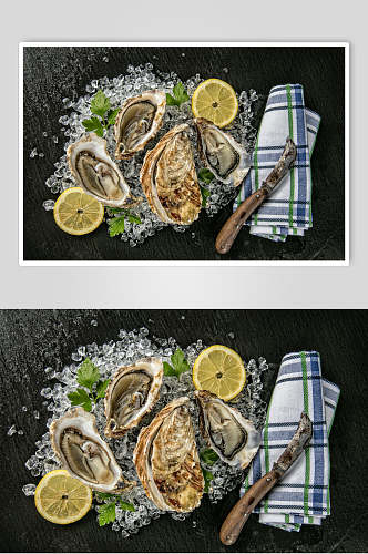 冰镇牡蛎蛤蜊生蚝食品图片
