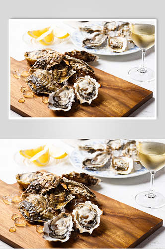 特色牡蛎蛤蜊生蚝食品图片