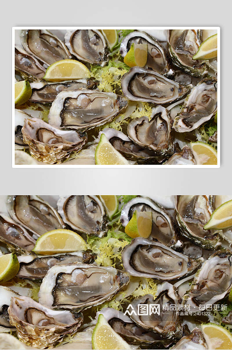 高端牡蛎蛤蜊生蚝食品图片素材