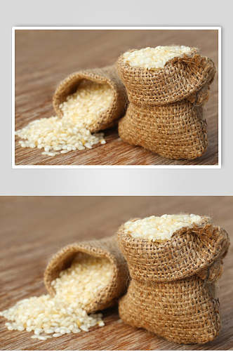 精品大米稻米图片
