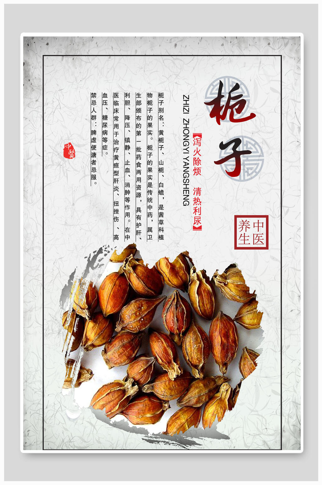 栀子中药挂画展板海报素材