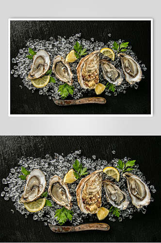 招牌冰镇牡蛎蛤蜊生蚝食品图片