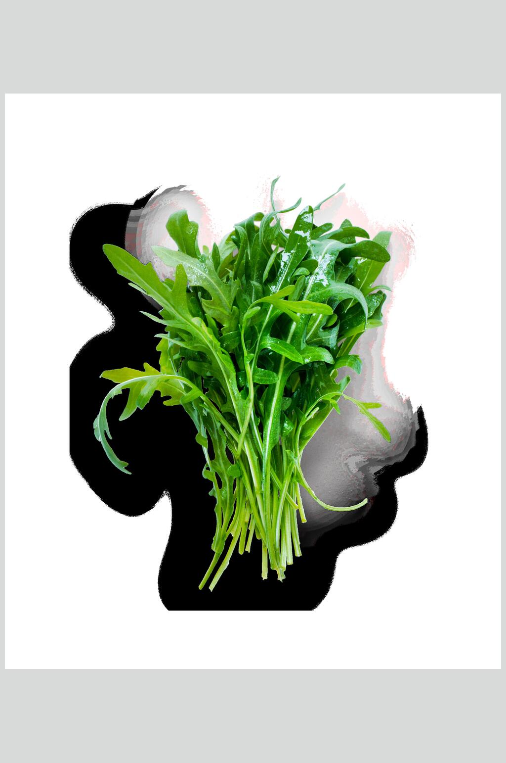 新鲜蔬菜蔬果素材素材