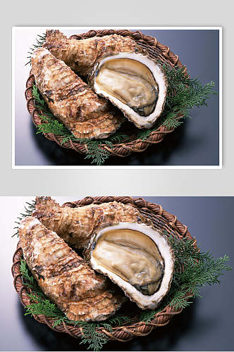 精品牡蛎蛤蜊生蚝图片
