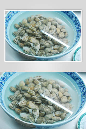海鲜牡蛎蛤蜊生蚝图片