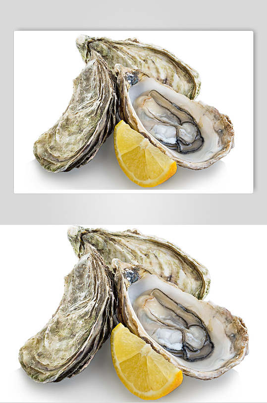 招牌美味牡蛎蛤蜊生蚝食品图片