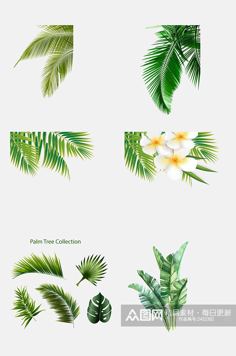 时尚夏天卡通植物椰子树叶免抠素材素材