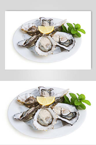 美味牡蛎蛤蜊生蚝食品图片
