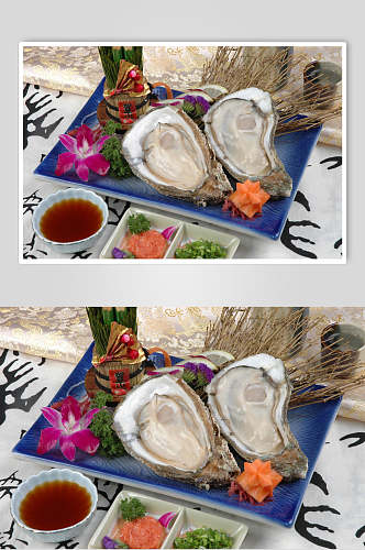 清新美味海鲜牡蛎蛤蜊生蚝食品图片