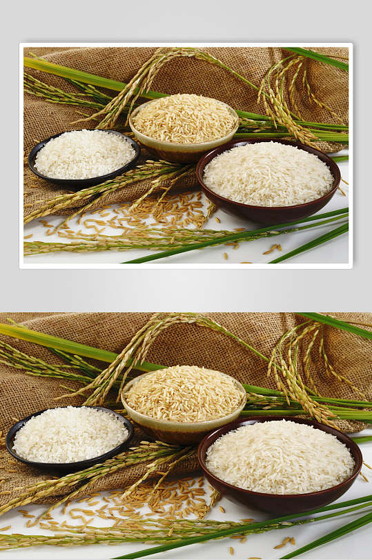 有机水稻大米稻米图片