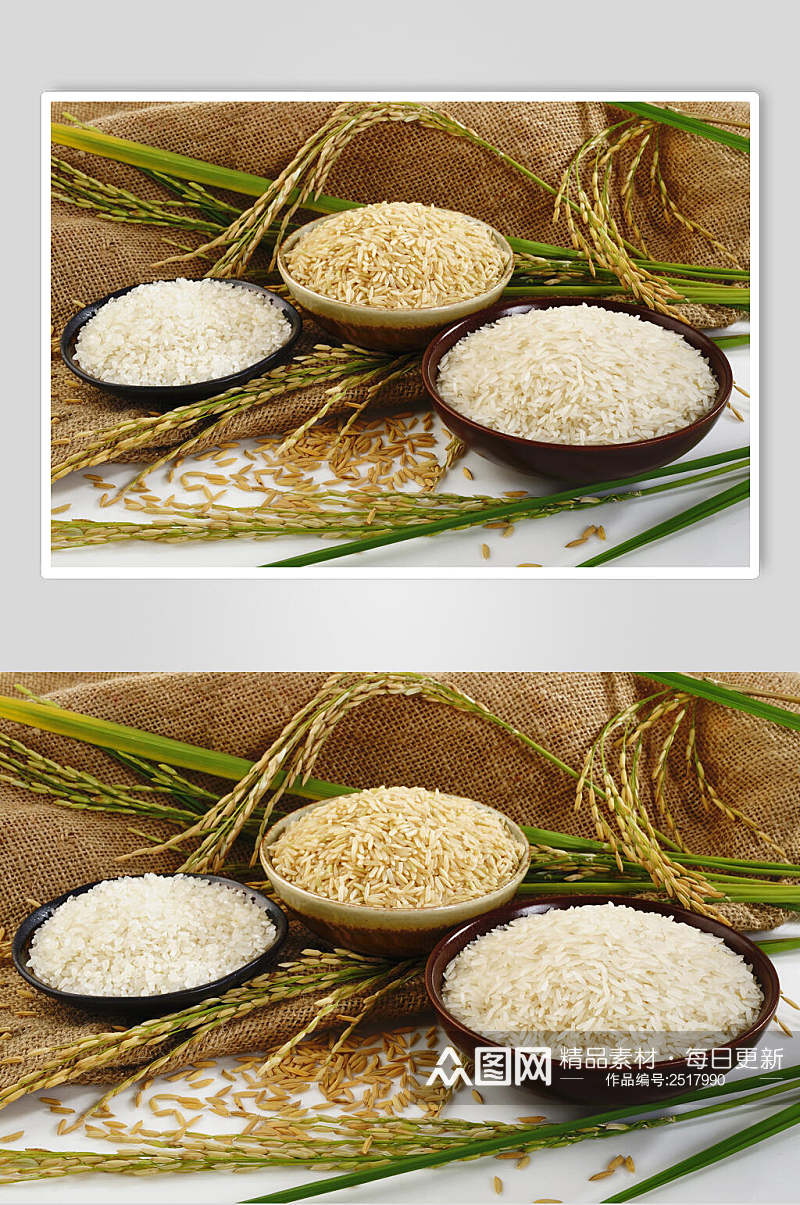 有机水稻大米稻米图片素材