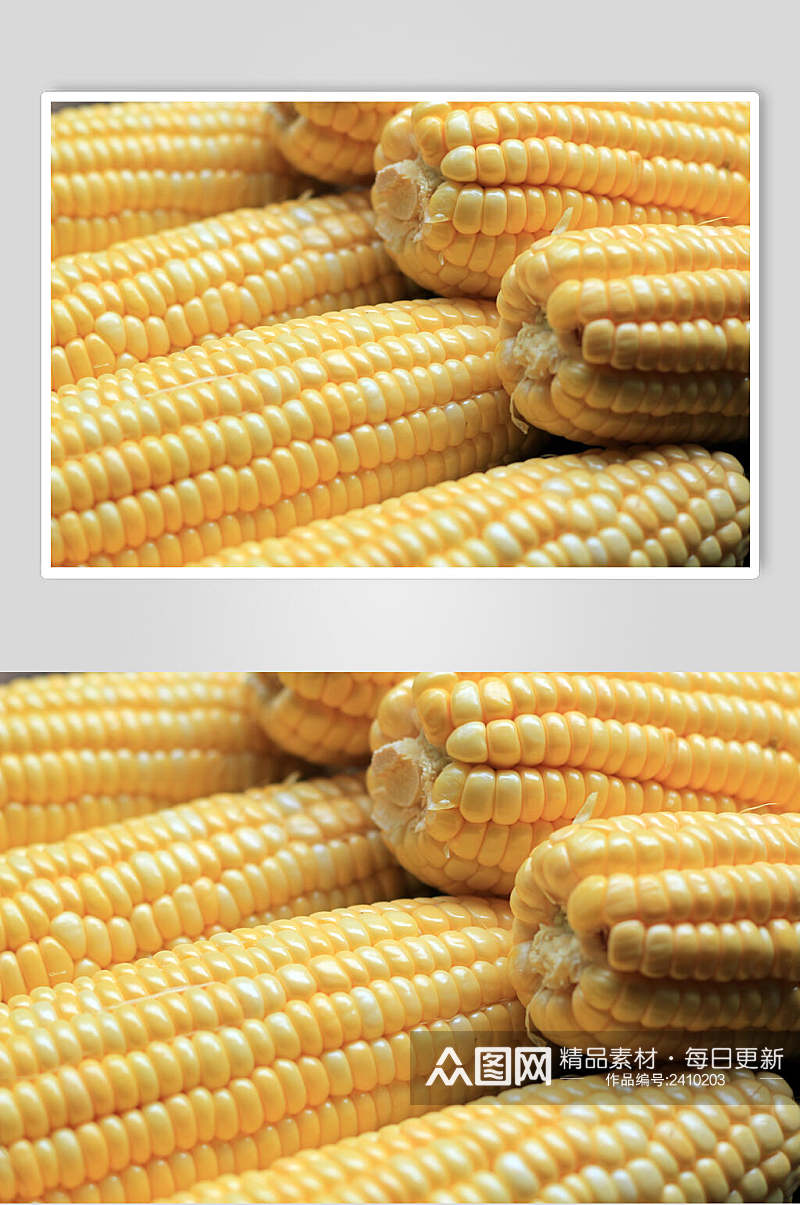 玉米棒玉米粒食物图片素材