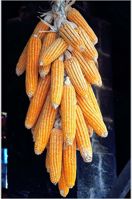 农家玉米棒玉米粒食品图片