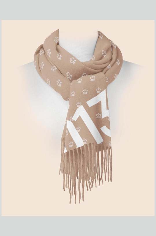 别致围巾纱巾样机